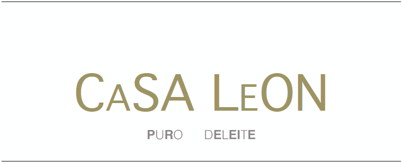 logo CaSa LeOn